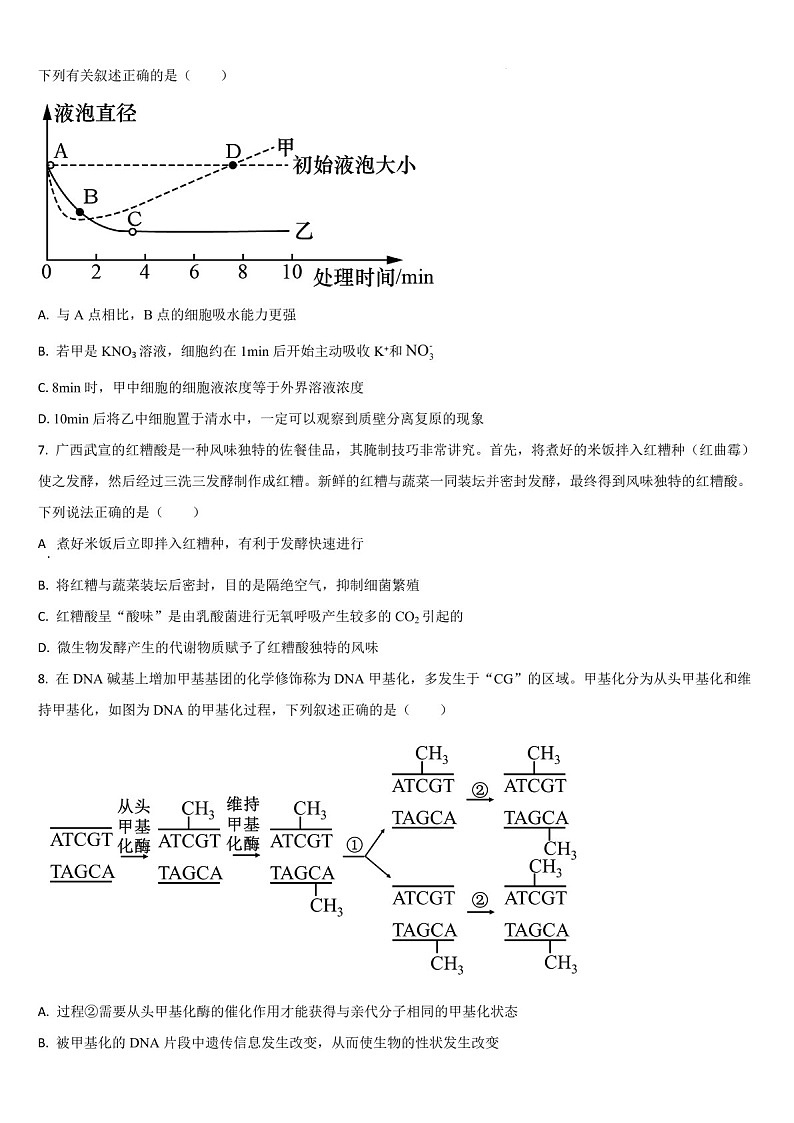 吉林省通化市梅河口市第五中学2024-2025学年高三上学期1月期末生物试题(含答案)第2页