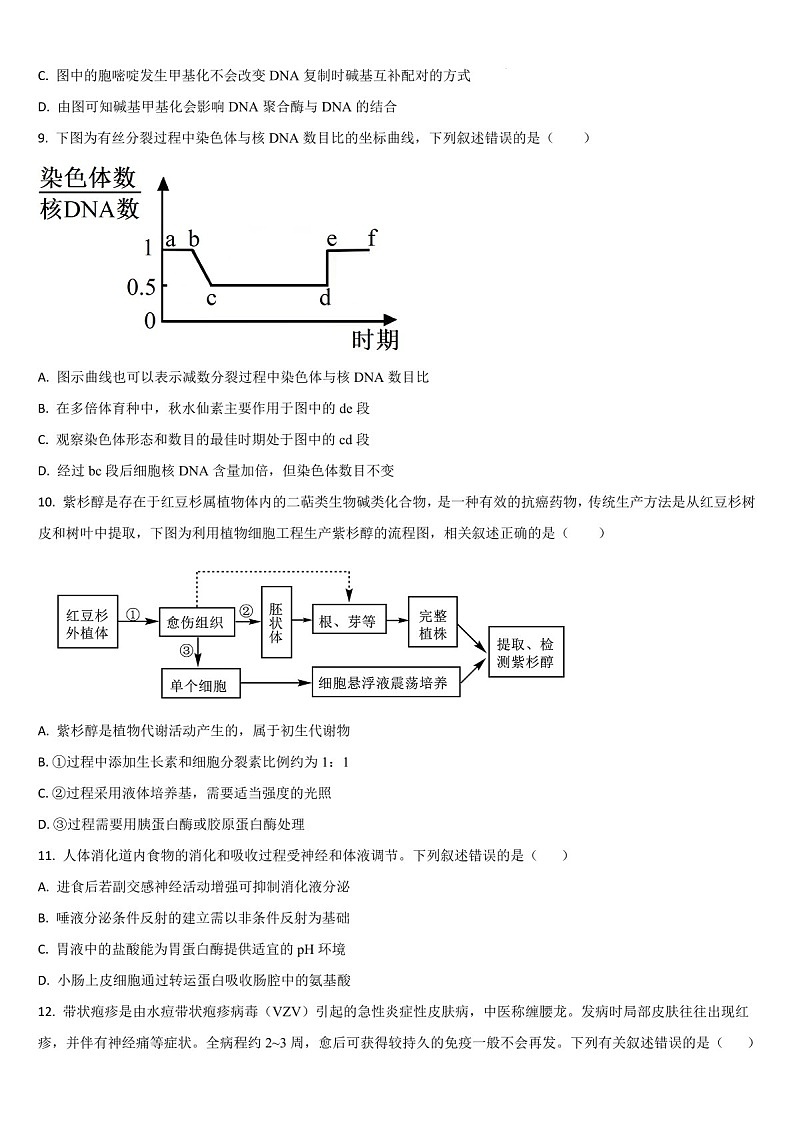 吉林省通化市梅河口市第五中学2024-2025学年高三上学期1月期末生物试题(含答案)第3页