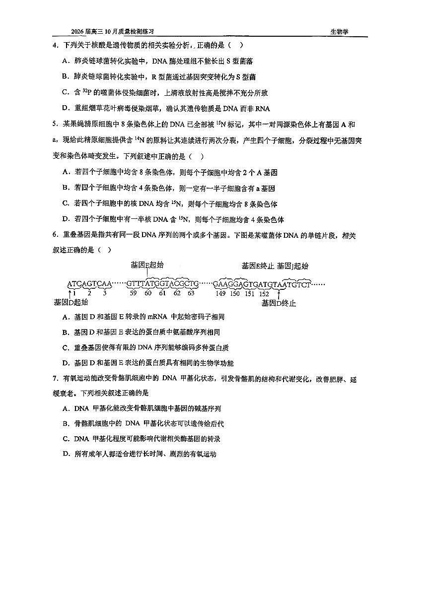 2025北京人大附中高三上10月月考生物(教师版)试卷第2页
