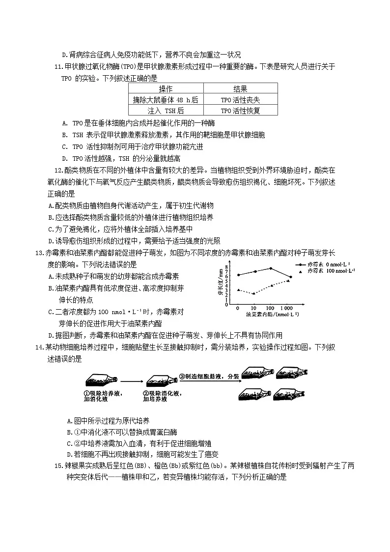 2026承德五校高三上学期10月月考试题生物含解析第3页