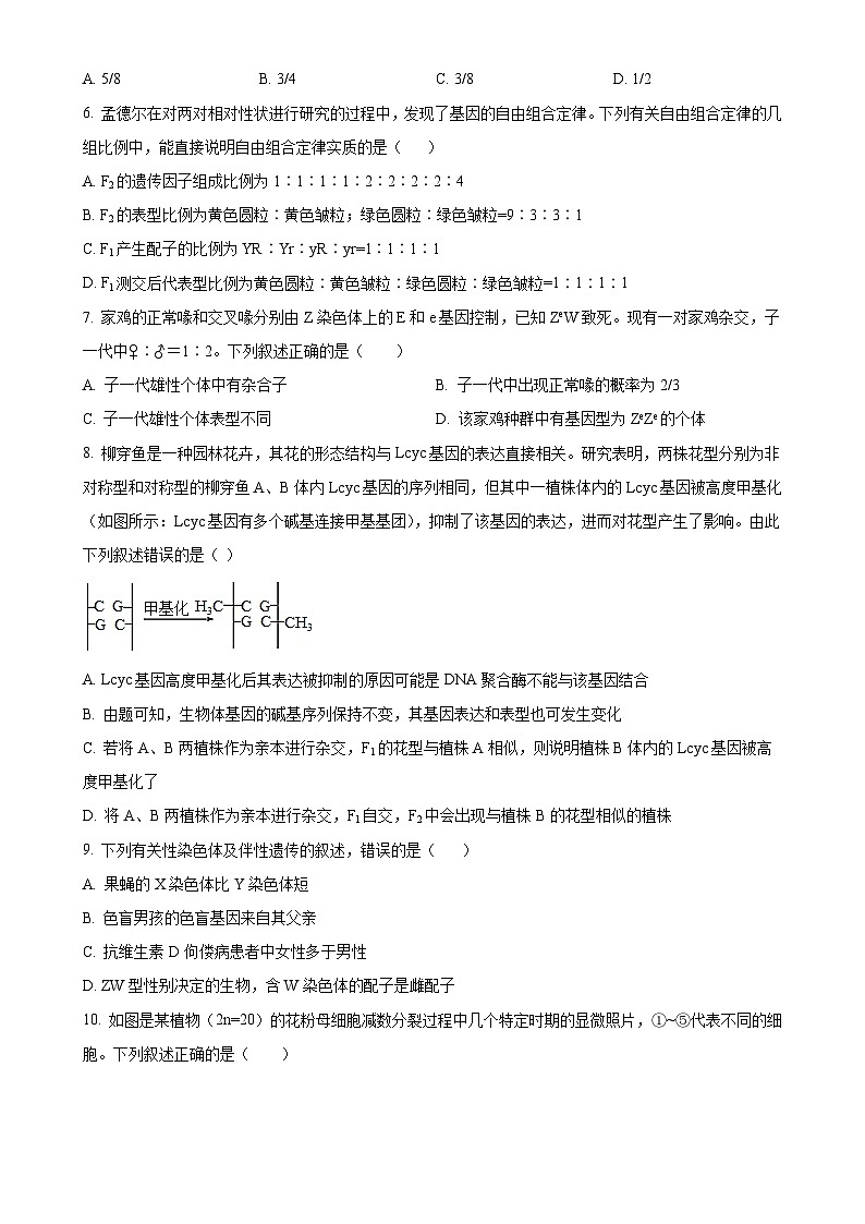 海南省海口市2023-2024学年高一下学期期末考试生物试题(原卷版)-A4第2页