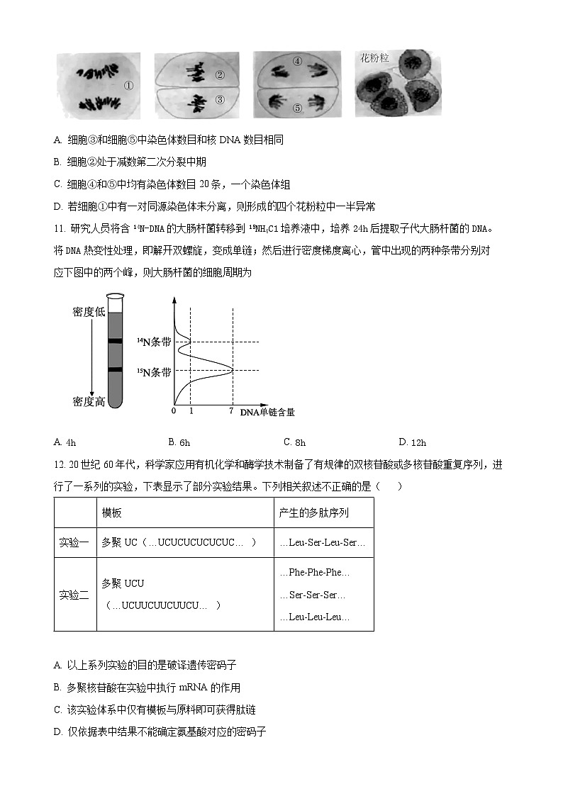 海南省海口市2023-2024学年高一下学期期末考试生物试题(原卷版)-A4第3页