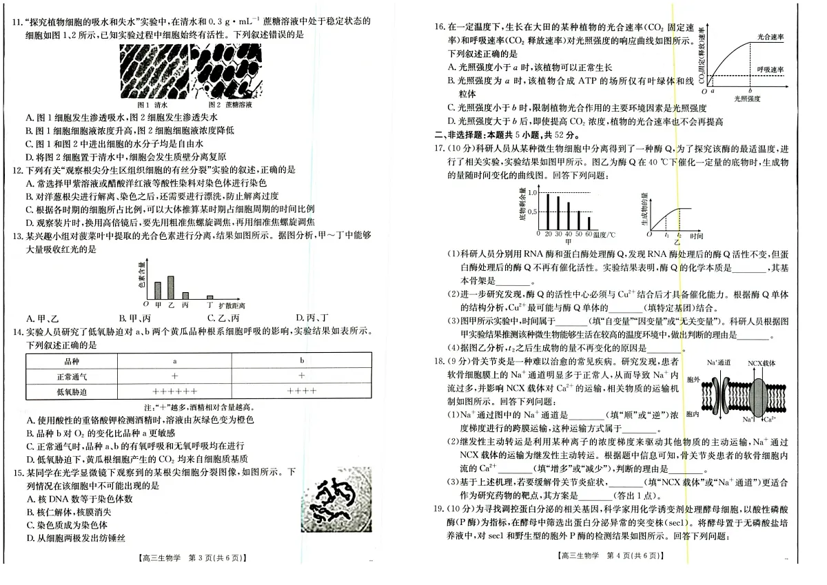 山西陕西金太阳2025年9月高三上学期多校联考 生物试卷第2页