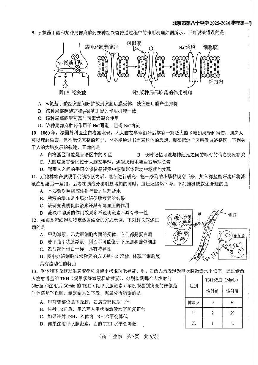 北京市第八十中学2025-2026学年高二上学期10月月考生物试题第3页