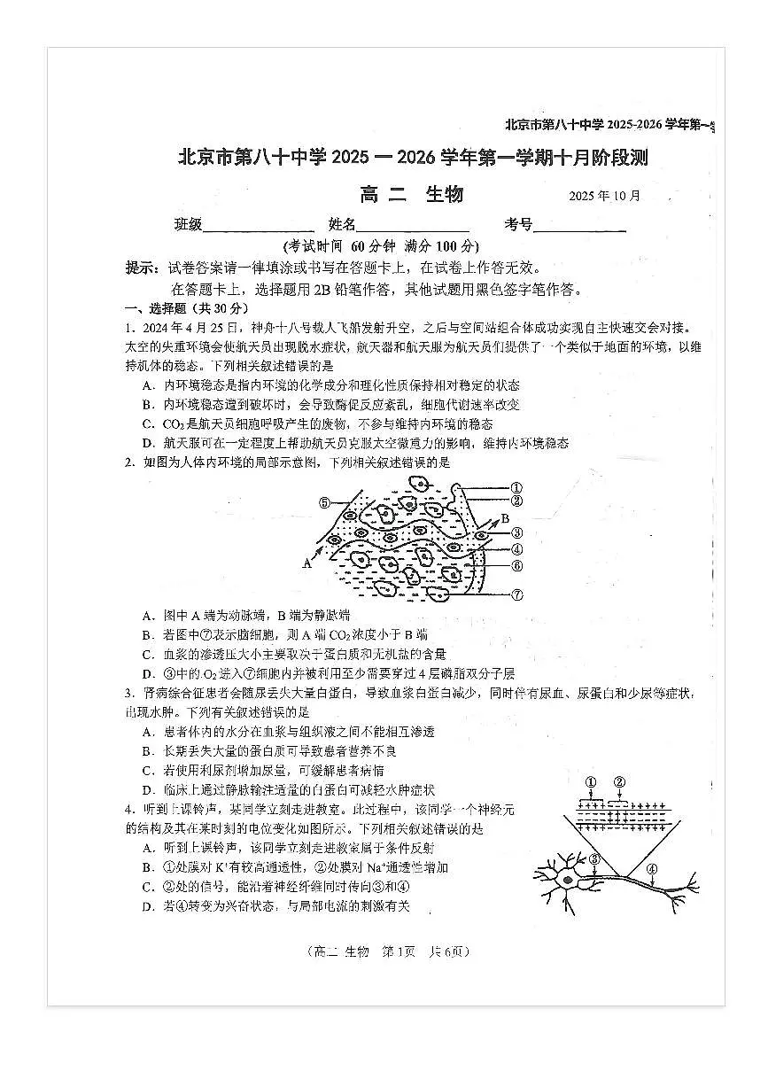 2025-2026学年北京八十中高二上10月月考生物试题及答案第1页
