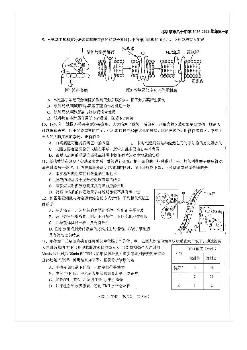 2025-2026学年北京八十中高二上10月月考生物试题及答案第3页