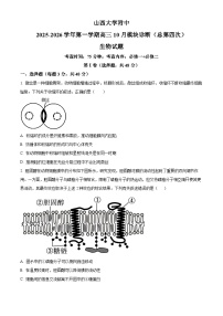 山西省太原市山西大学附属中学校2025-2026学年高三上学期10月模块诊断（总第四次）生物试题（含答案）