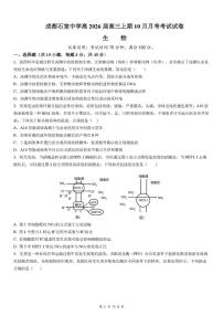 四川省成都石室中学2025-2026学年高三上学期10月月考生物试题
