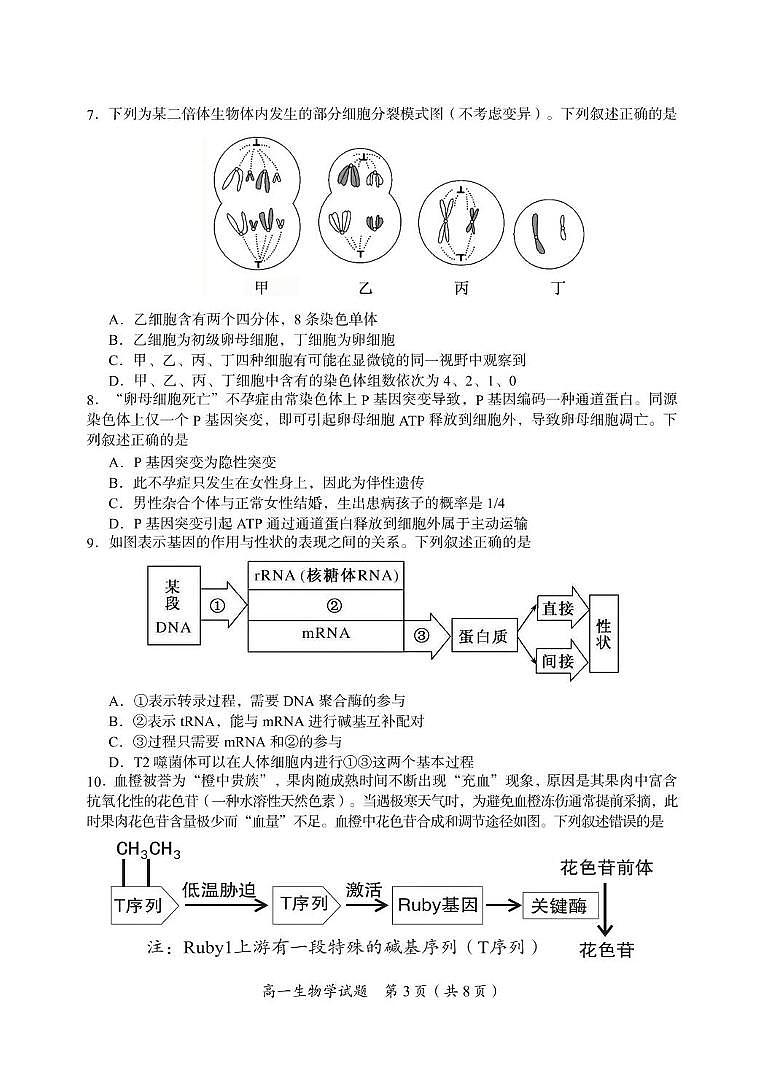 湖南省郴州市2024-2025学年高一下学期期末教学质量监测生物试卷(有答案)第3页