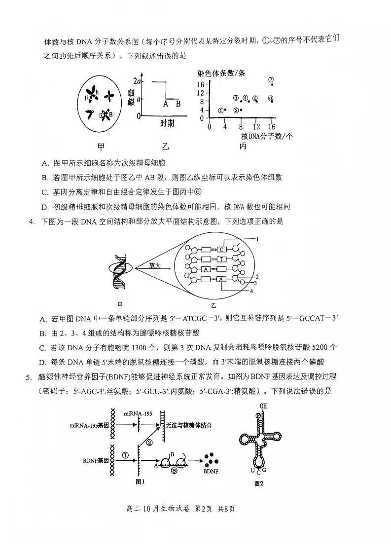湖北省云学联盟2025-2026学年高二上学期10月月考生物试卷第2页
