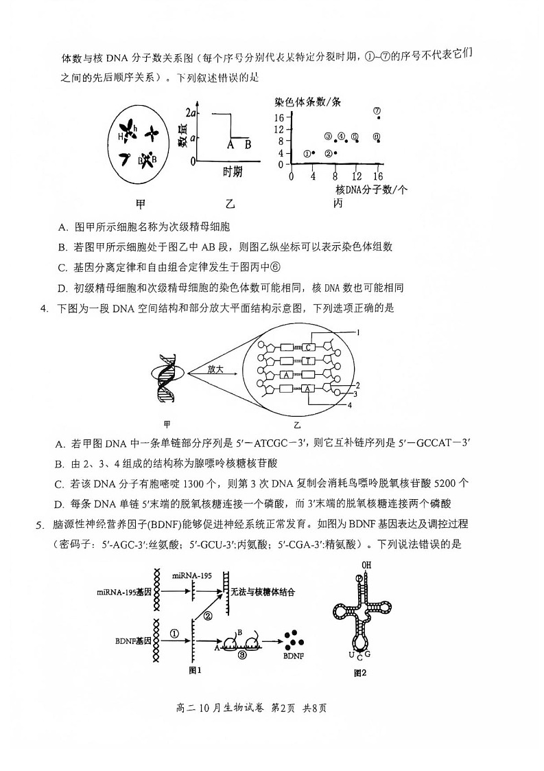 湖北省云学联盟2025-2026学年高二上学期10月月考生物试卷第2页