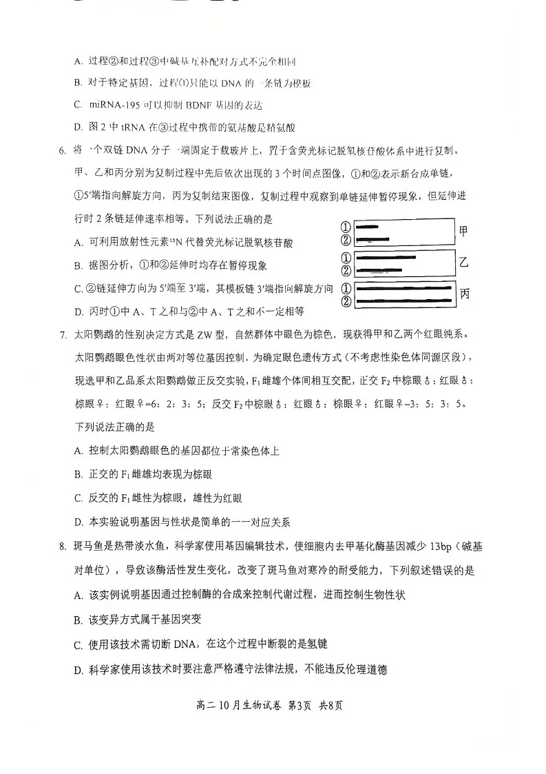 湖北省云学联盟2025-2026学年高二上学期10月月考生物试卷第3页