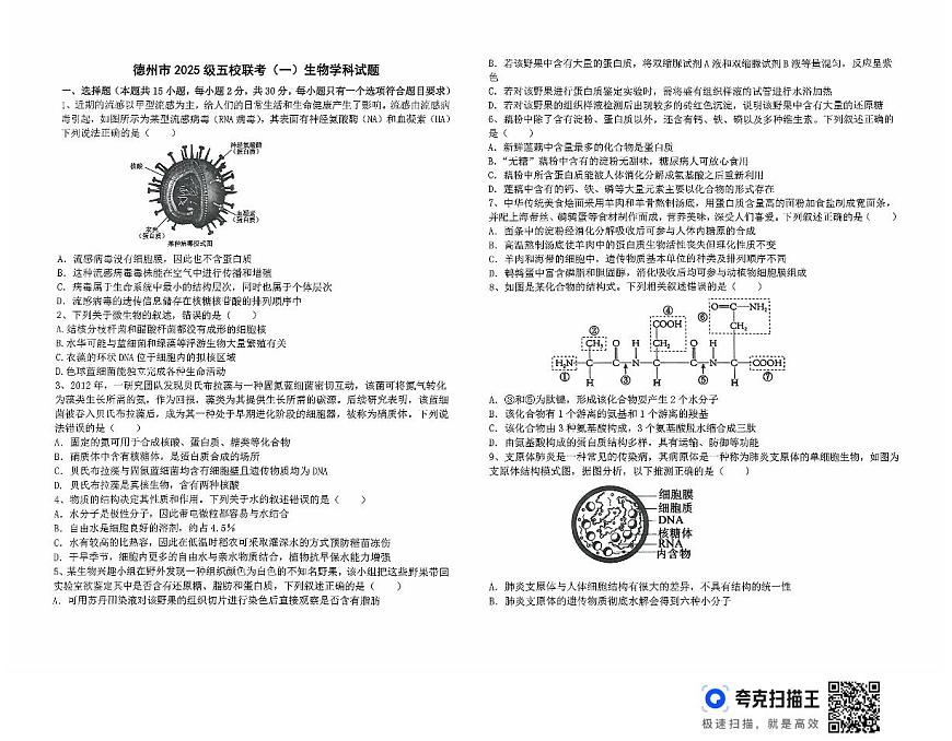 山东省德州市五校2025-2026学年高一上学期10月联考生物试题(无答案)第1页