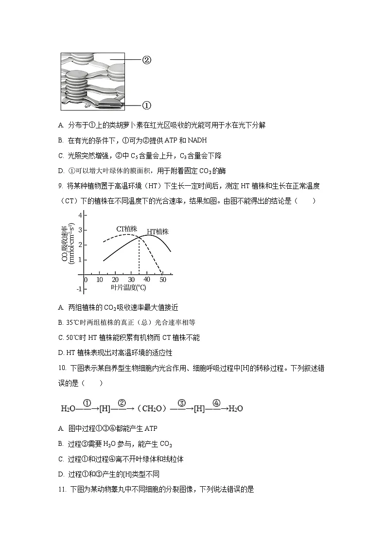 陕西省宝鸡市2025届高三上学期第二次模拟生物试卷(学生版)第3页