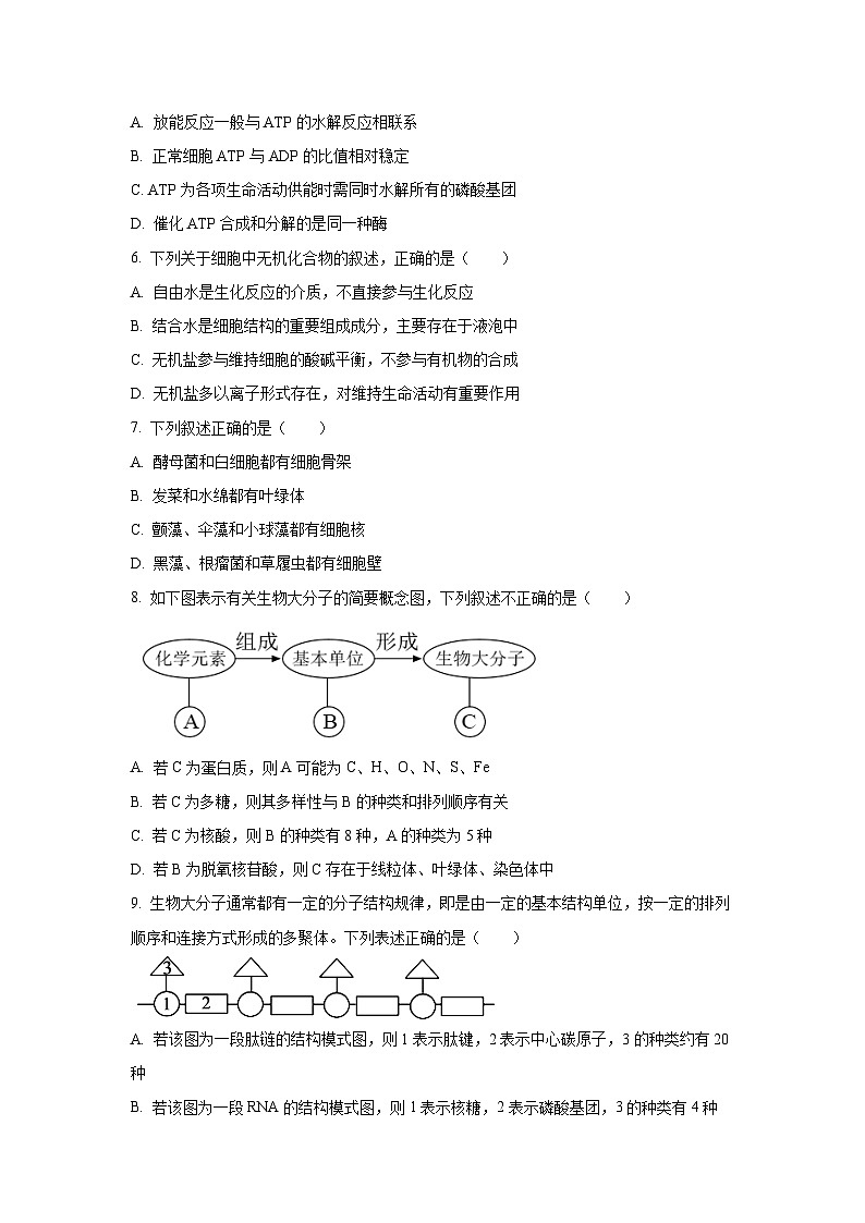 【生物】北京市延庆区2024-2025学年高一上学期选科测试(学生版)第2页