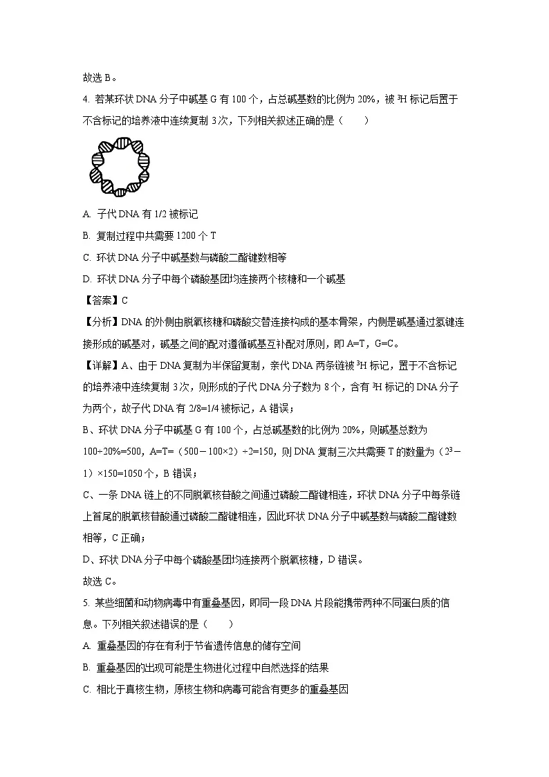 【生物】江苏省连云港市2024-2025学年高一下学期6月期末试题(解析版)第3页