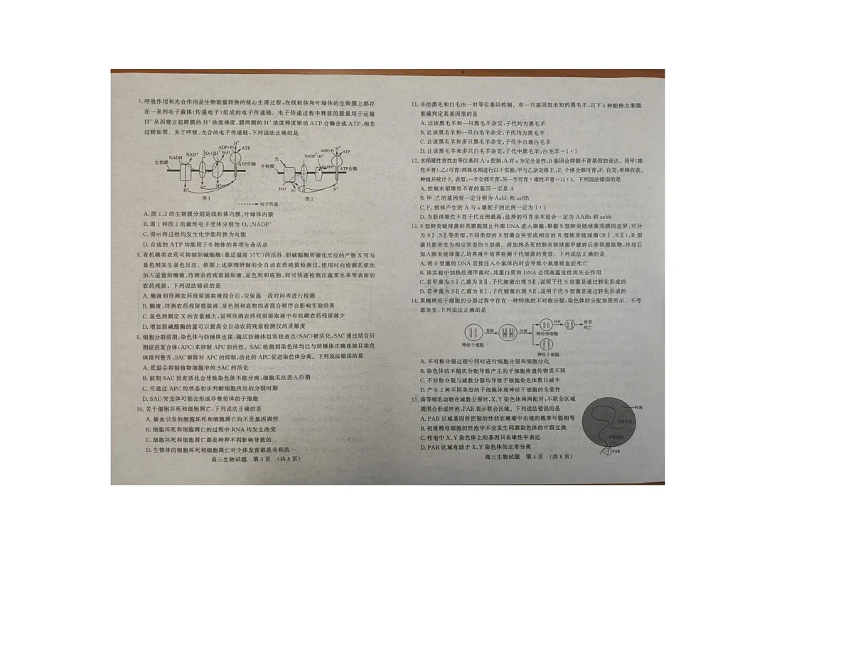 生物试卷第2页