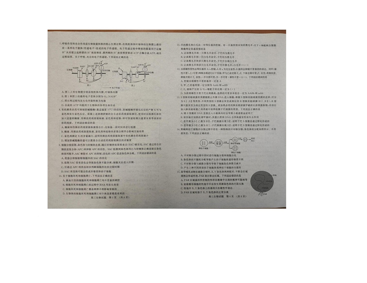 生物试卷第2页