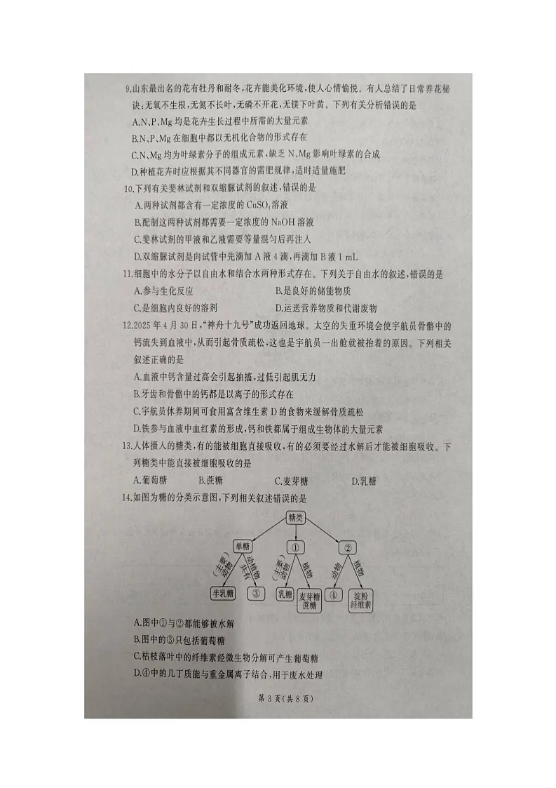山东省临沂市临沭第一中学2025-2026学年高一上学期10月月考生物试题(无答案)第3页