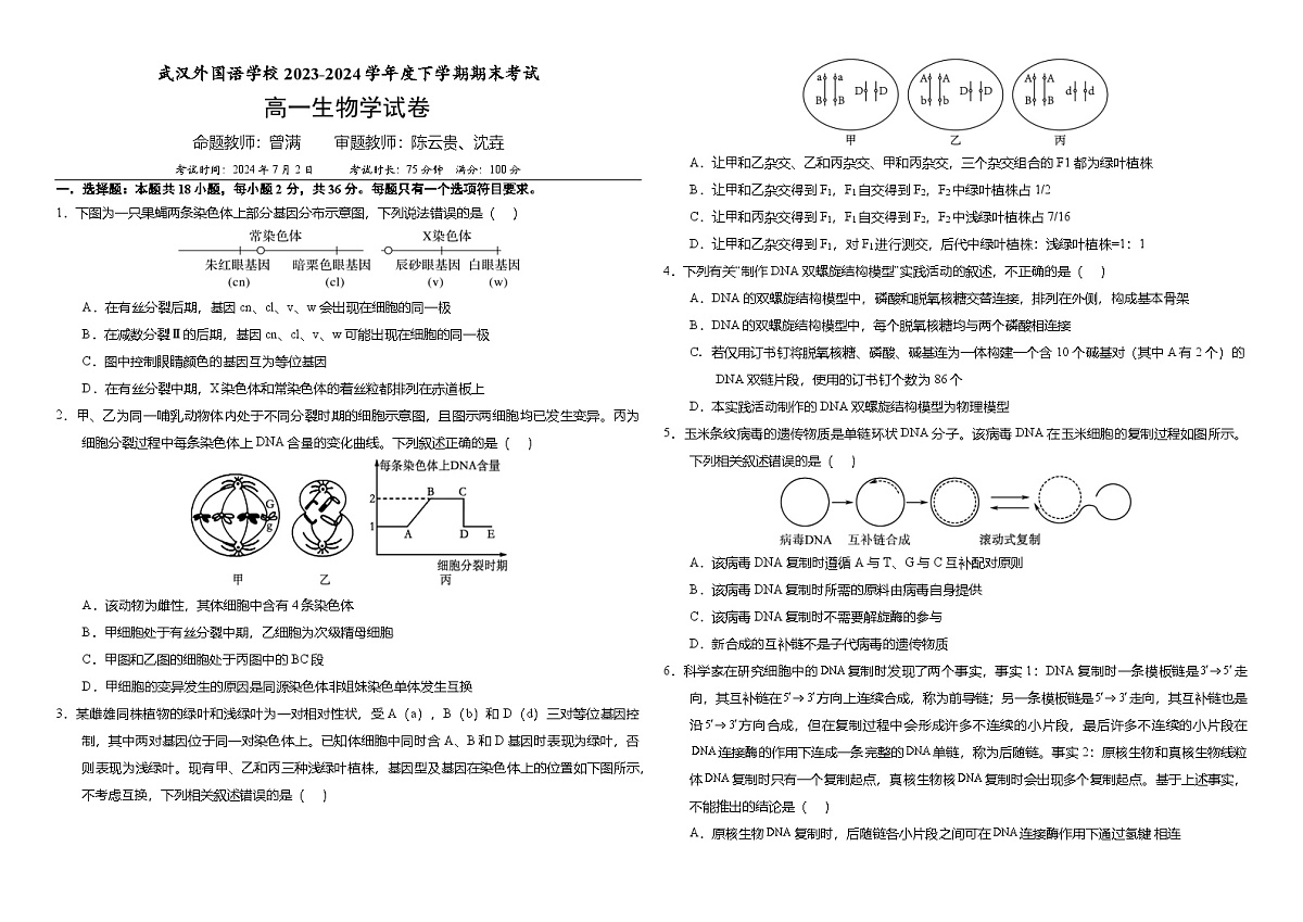 湖北省武汉外国语学校2023-2024学年高一下学期7月期末考试生物试卷第1页