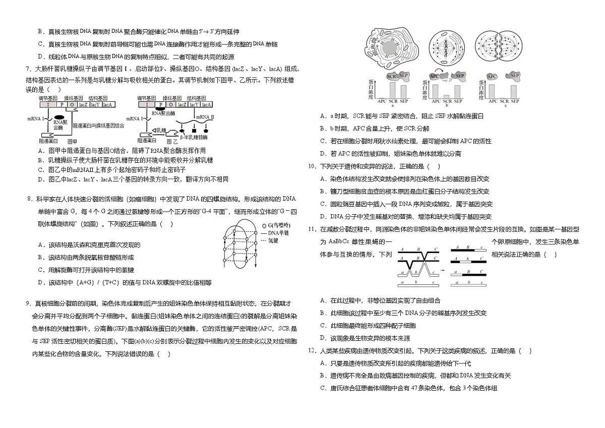 湖北省武汉外国语学校2023-2024学年高一下学期7月期末考试生物试卷第2页