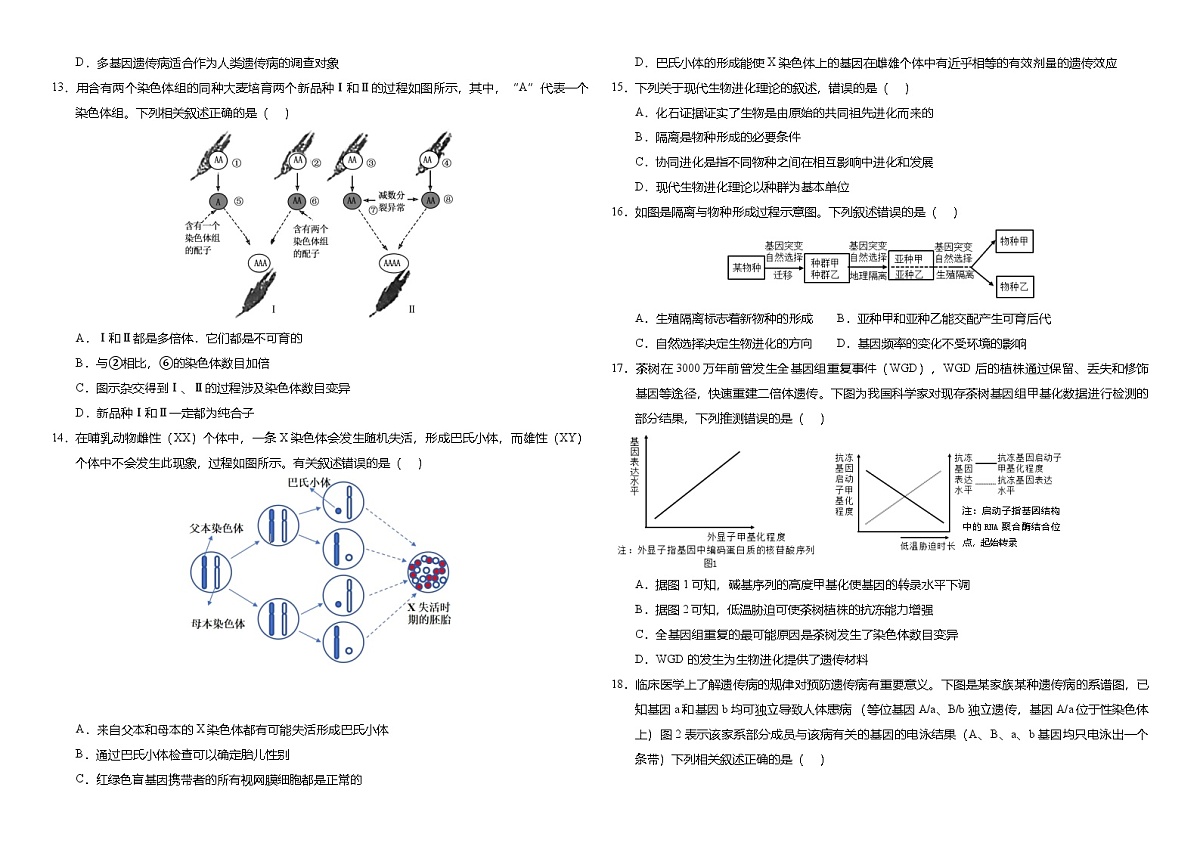 湖北省武汉外国语学校2023-2024学年高一下学期7月期末考试生物试卷第3页