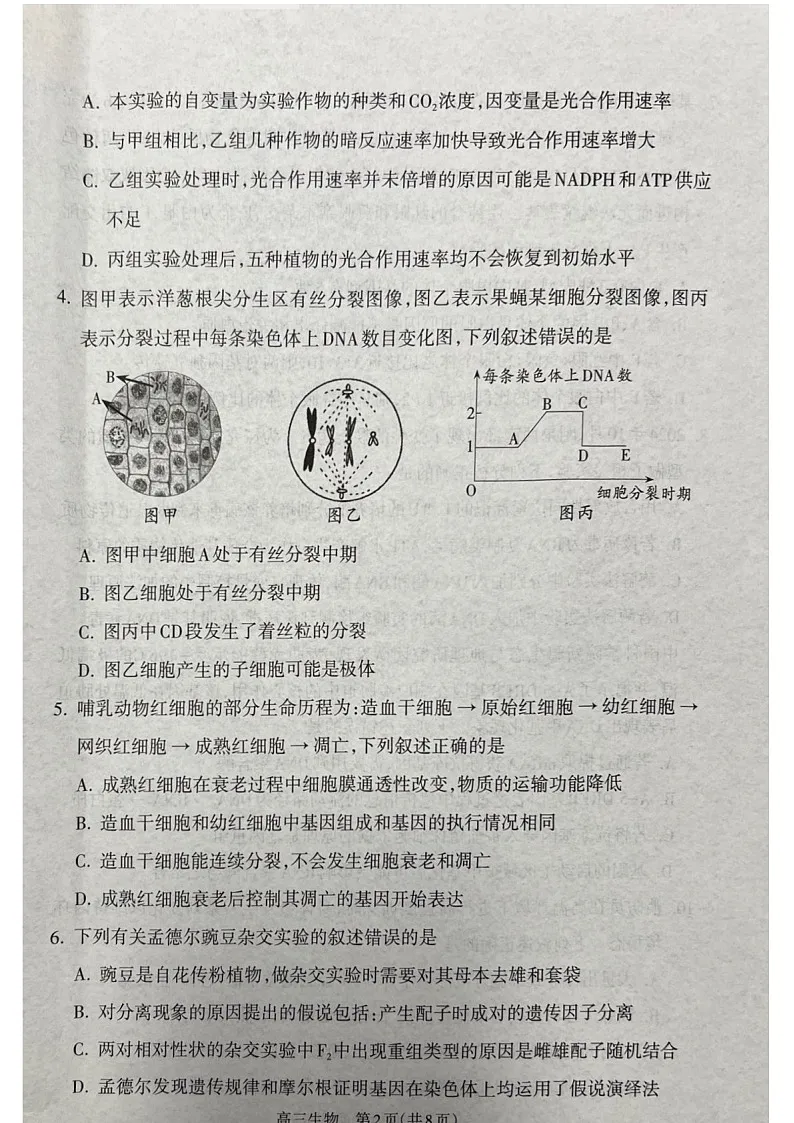 山西省吕梁市2025届高三上学期1月期末调研考试-生物试卷(含答案)第2页