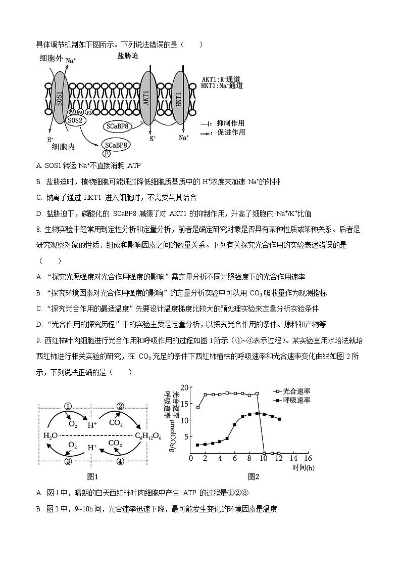山东省实验中学2025-2026学年高三上学期10月第一次月考生物试卷第3页