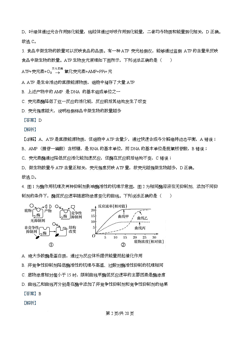湖南省长沙市长郡中学2026届高三上学期10月月考生物试题 Word版含解析第2页