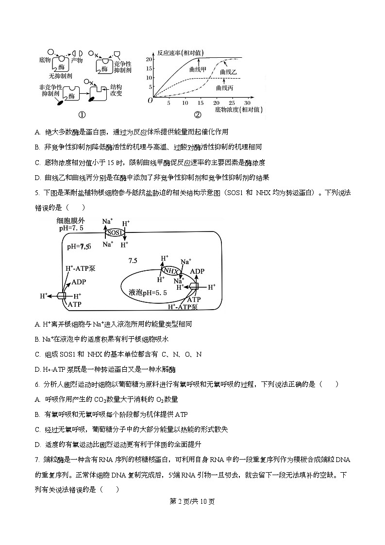 湖南省长沙市长郡中学2026届高三上学期10月月考生物试题(原卷版)第2页