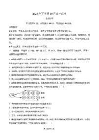 湖南省部分名校2025-2026学年高一上学期10月联考生物试卷（Word版附解析）