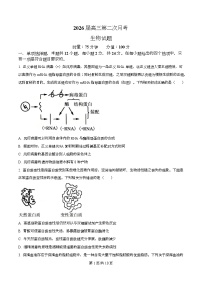 2026衡阳八中高三上学期第二次月考生物试题含解析