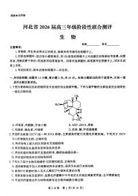 2025年河北省高三上学期10月生物试题及答案
