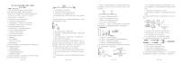 贵州省铜仁市松桃民族中学2025-2026学年高二上学期10月月考生物试题