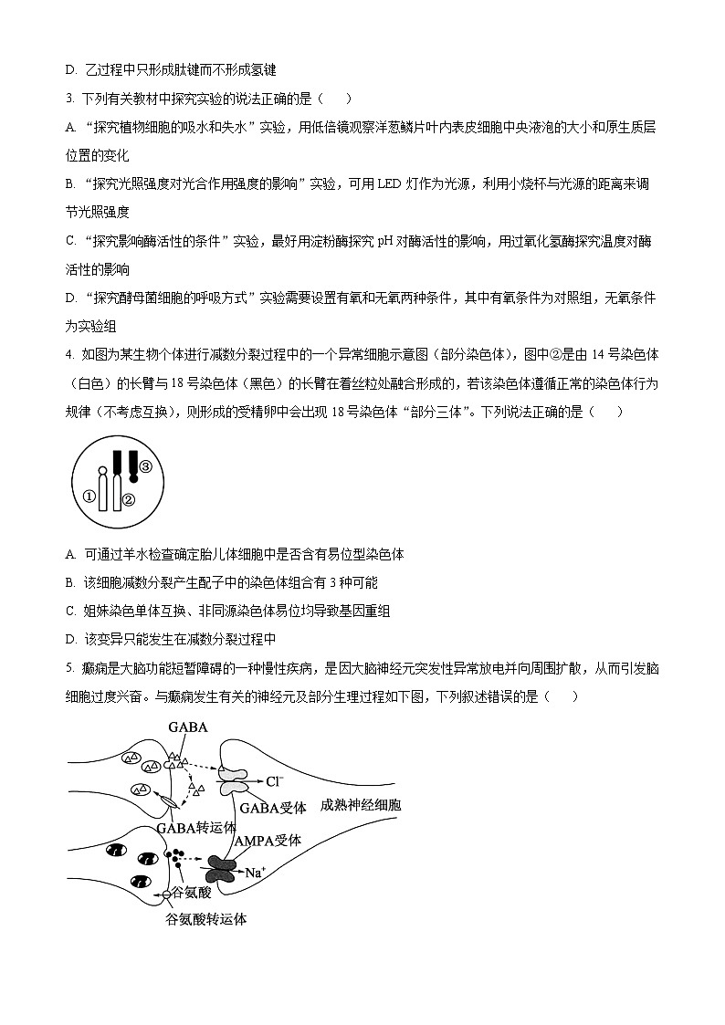 湖南省衡阳市第一中学2025-2026学年高三下学期第一次月考生物试卷(原卷版)第2页