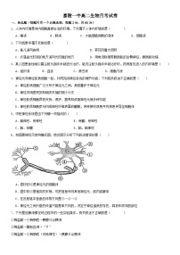 四川省南充市嘉陵一中2025-2026学年高二上学期10月月考生物试卷（Word版附答案）