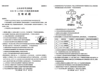 山东省名校考试联盟2026届高三上学期10月阶段性检测试题 生物 PDF版含答案