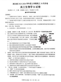 湖北省“新八校”协作体2026届高三上学期10月月考试题 生物 PDF版含解析