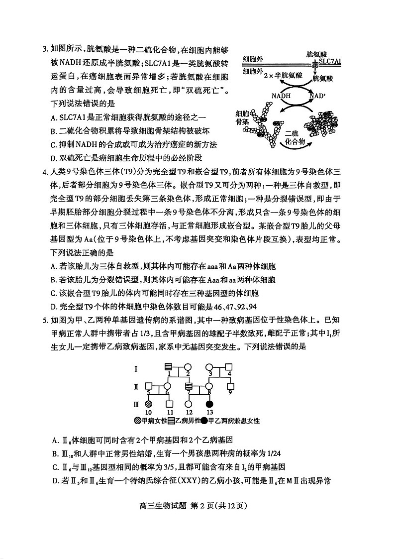 2025届山东省泰安市高三下学期第一次模拟-生物试题(学生版)第2页