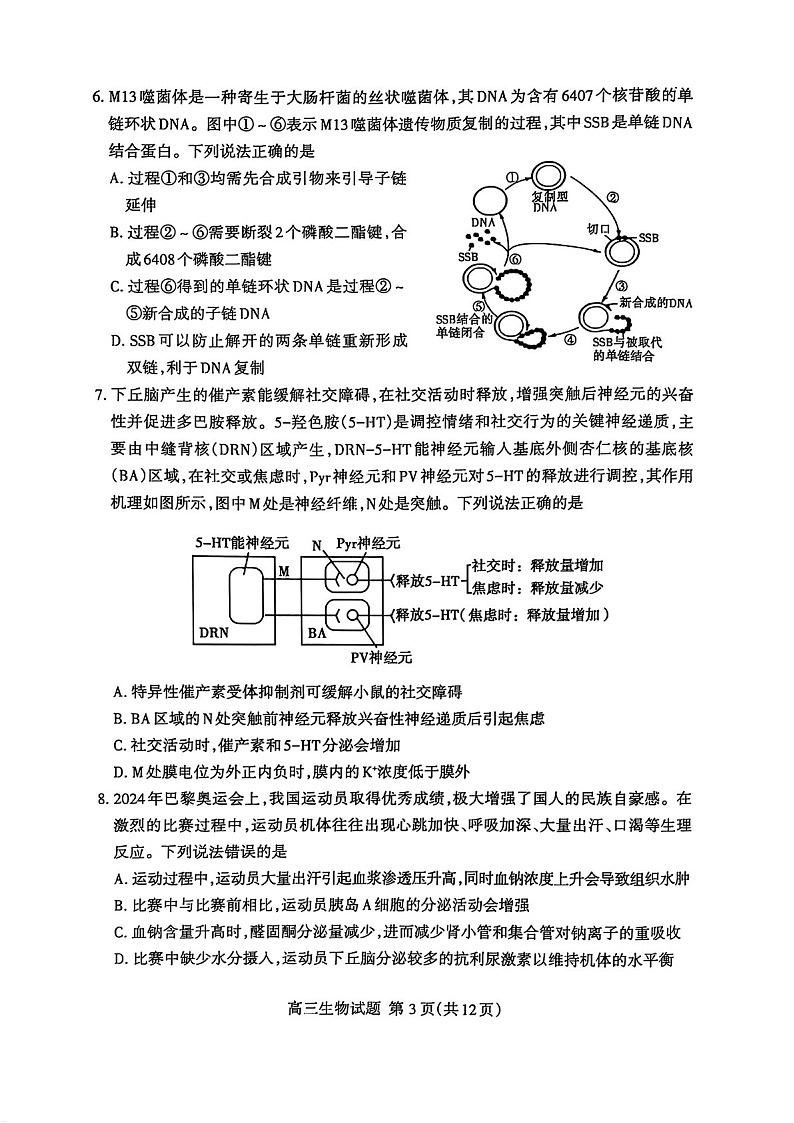 2025届山东省泰安市高三下学期第一次模拟-生物试题(学生版)第3页
