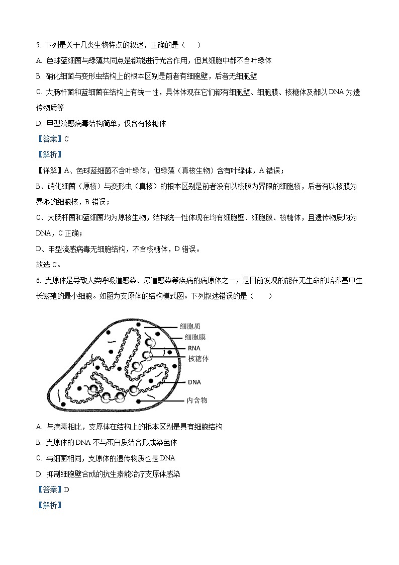 湖北省十堰市茅箭区十堰市郧阳中学2025-2026学年高一上学期9月月考生物试题 Word版含解析第3页