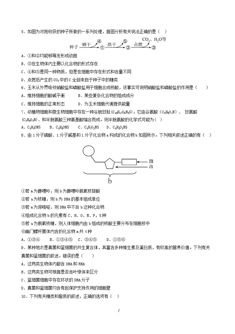 高一生物上学期第一次月考(湖南专用) 【测试范围:人教版2019必修一1-2章】(考试版) 第2页