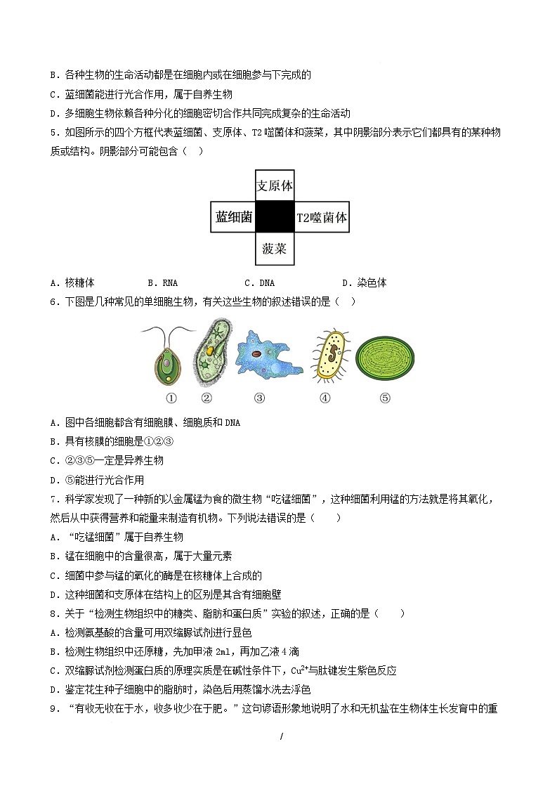 高一生物上学期第一次月考(山东专用) 【测试范围:人教版2019必修1第1章~第2章】(考试版)第2页