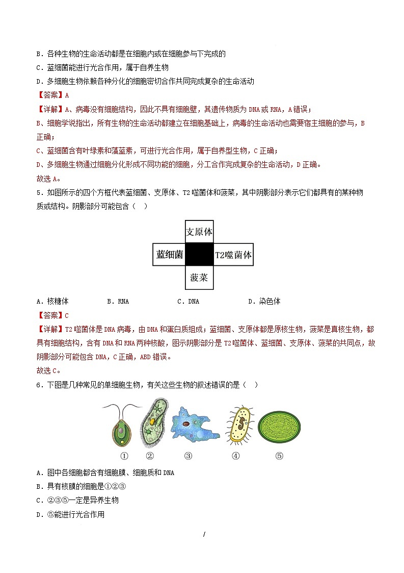 高一生物上学期第一次月考(山东专用) (全解全析)(山东专用) 第3页