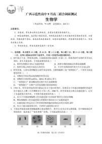 广西示范性高中2026届高三上学期9月联合调研测试生物试卷（含解析）含答案解析