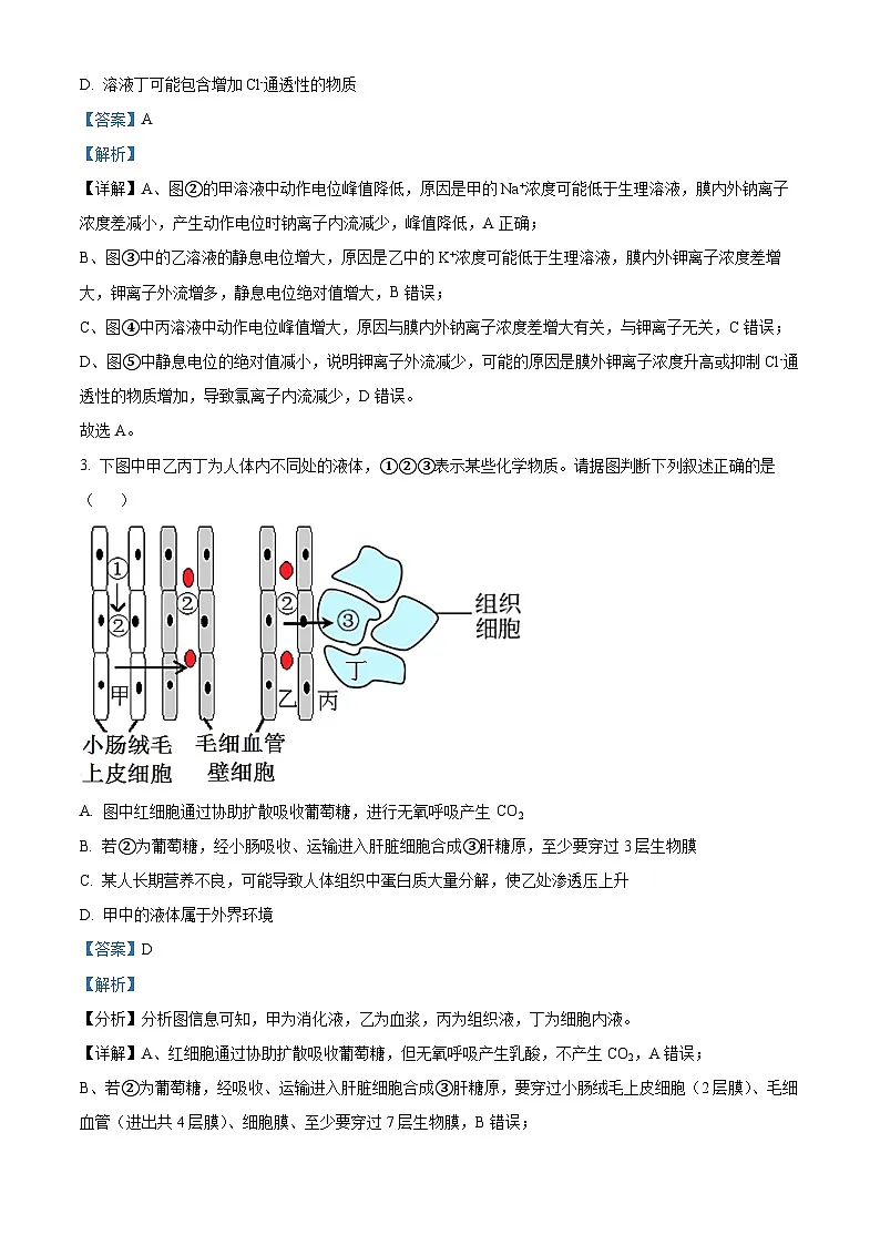 精品解析:河南省南阳市第一中学校2025-2026学年高二上学期9月月考生物试题(解析版)第2页