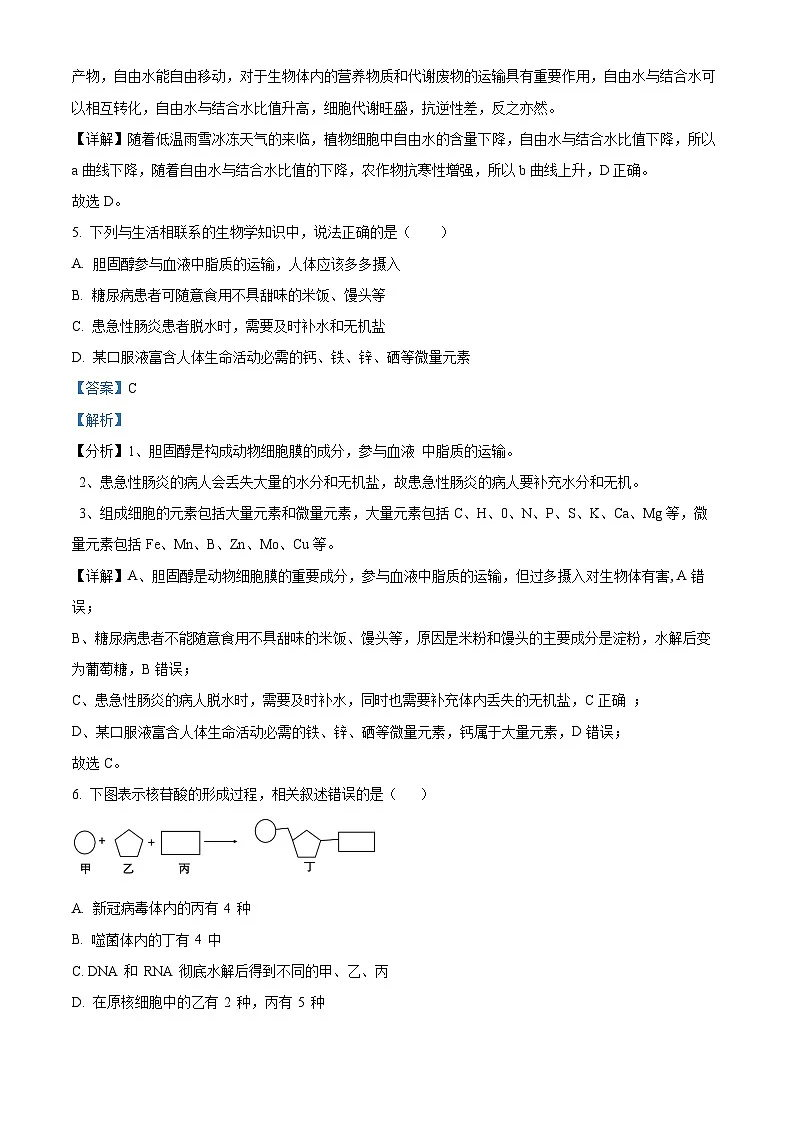 精品解析:山东省泰安市新泰一中老校区(新泰中学)2025-2026学年高一上学期第一次月考生物试题(解析版)第3页