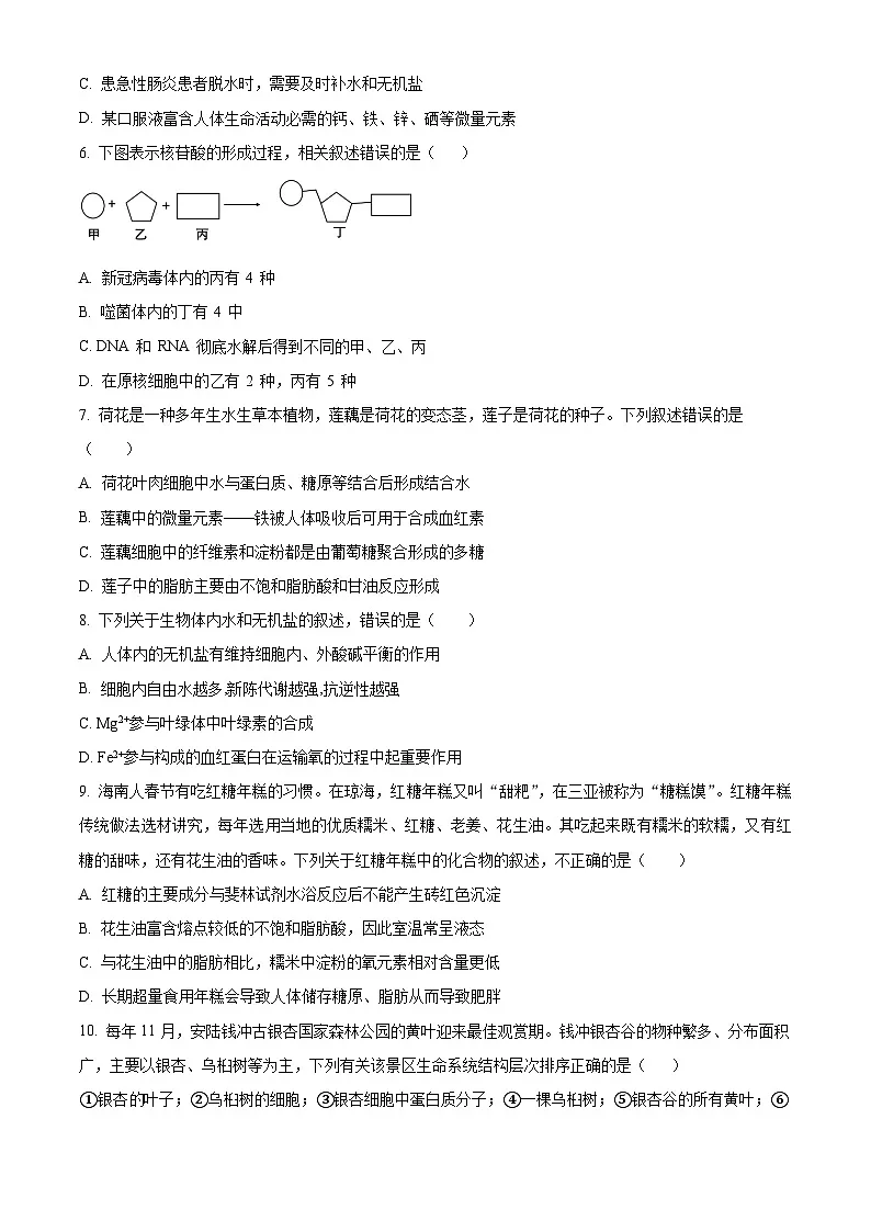 精品解析:山东省泰安市新泰一中老校区(新泰中学)2025-2026学年高一上学期第一次月考生物试题(原卷版)第2页