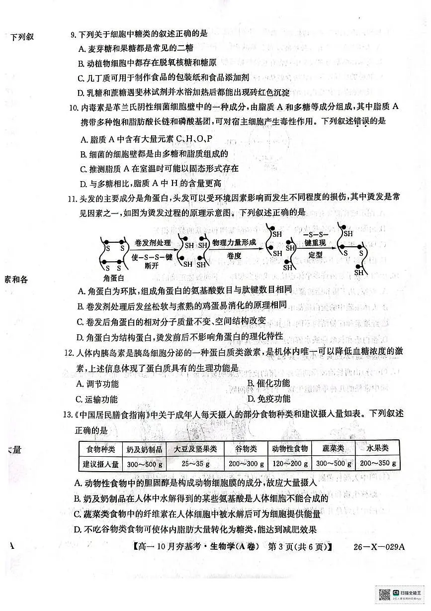 山西省大同市部分学校2025-2026学年高一上学期10月月考生物试题第3页
