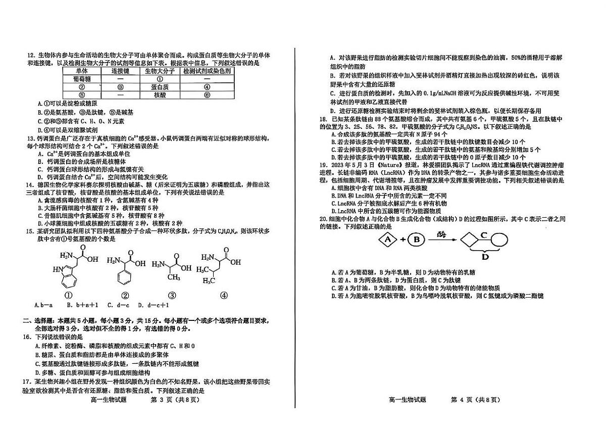 山东省烟台市招远市第二中学2025-2026学年高一上学期10月月考(期中模拟)生物试题第2页